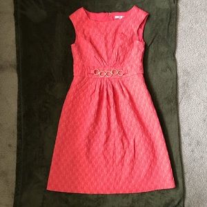 Sandra Darren Dress